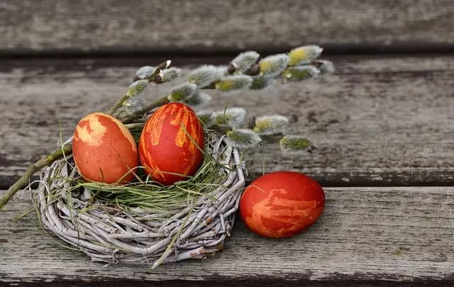 Chocolats de Pâques : 5 astuces pour une dégustation parfaite